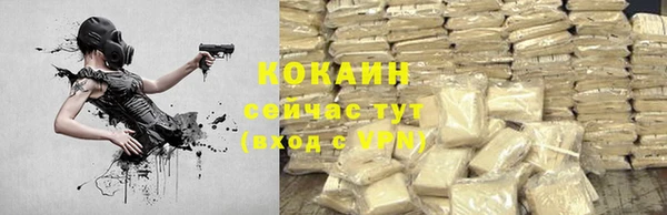 твердый Алзамай