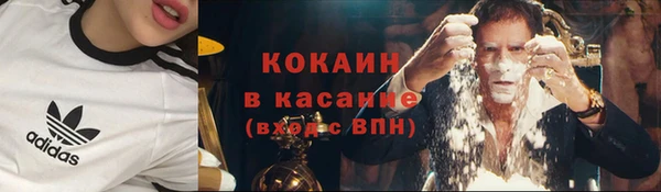 твердый Алзамай