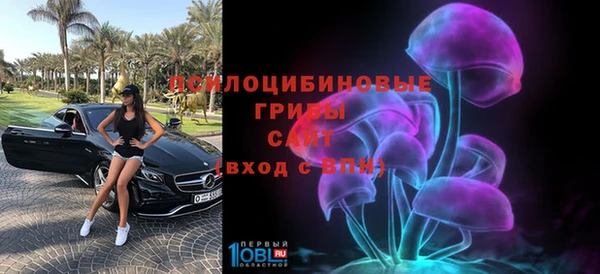 гашиш Осташков