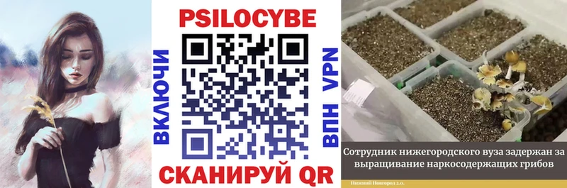 Псилоцибиновые грибы мухоморы  Любань 
